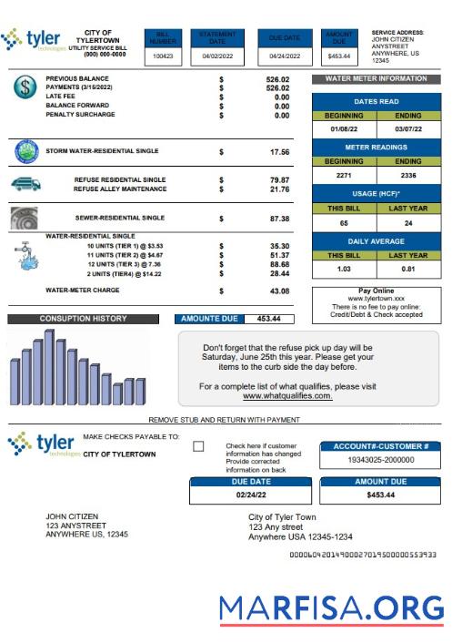 Printable USA Tyler Technologies utility bill template in Word and PDF format